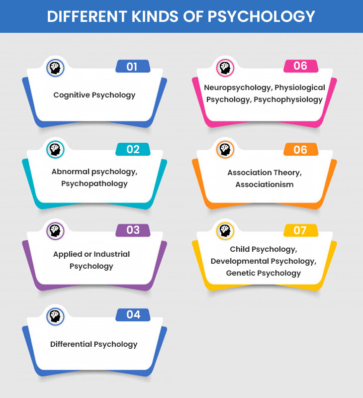 Stories College of Arts and Sciences Santa Clara