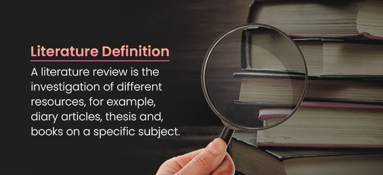 dictionary literature review meaning