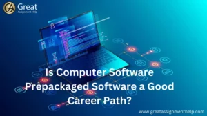 Is Computer Software Prepackaged Software A Good Career Path?