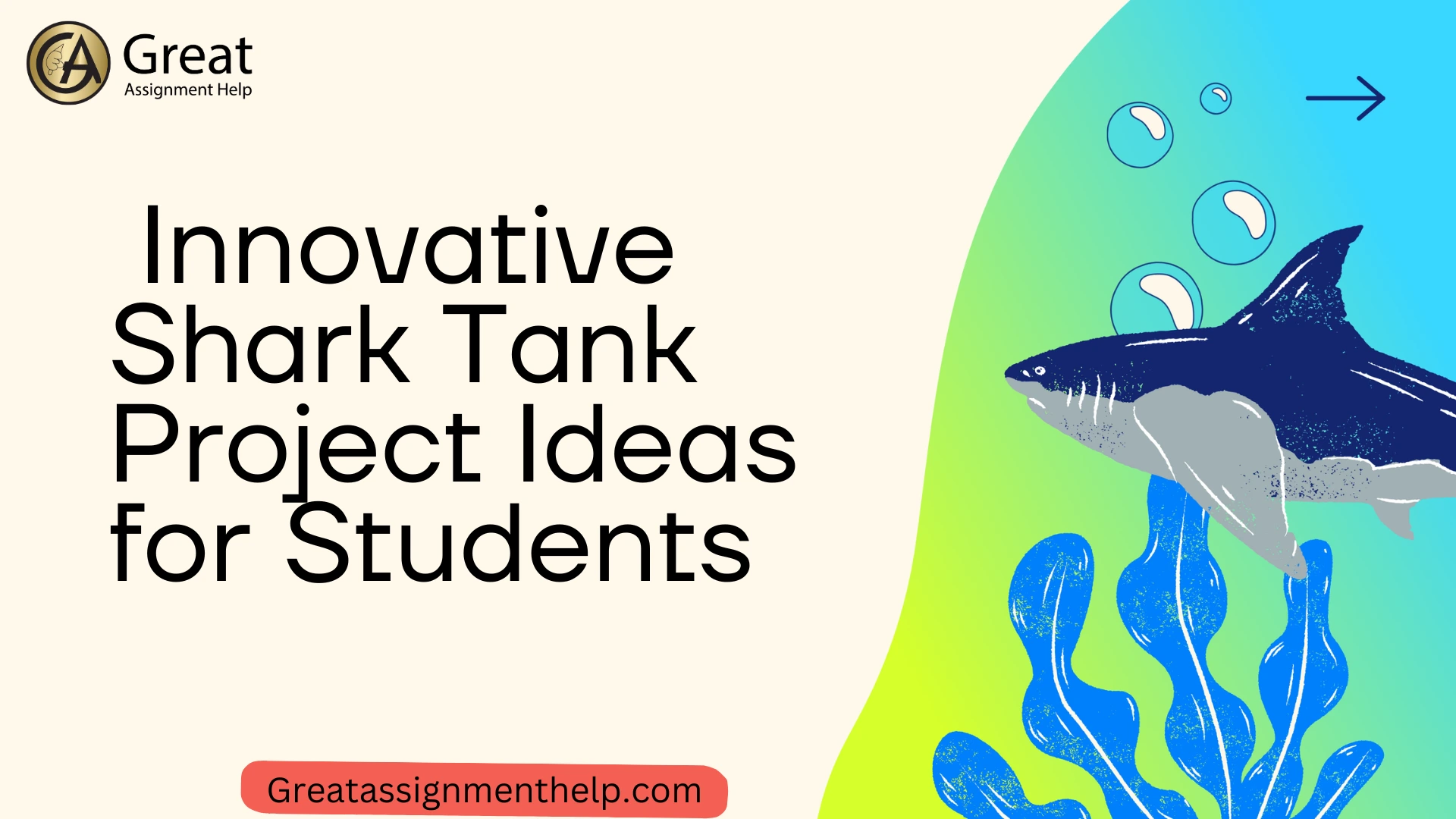 Shark Tank Project Ideas