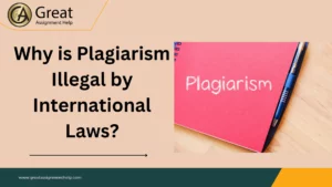Why is Plagiarism Illegal by International Laws?
