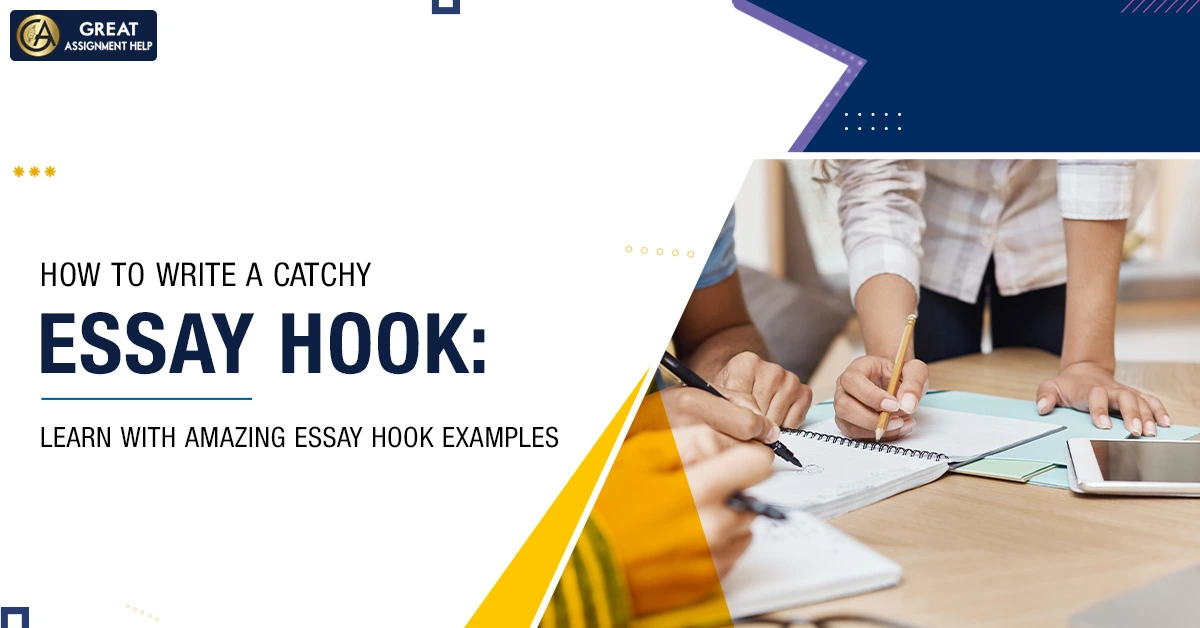 book report essay hook