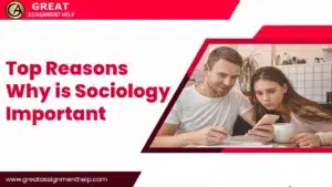Why is Sociology Important