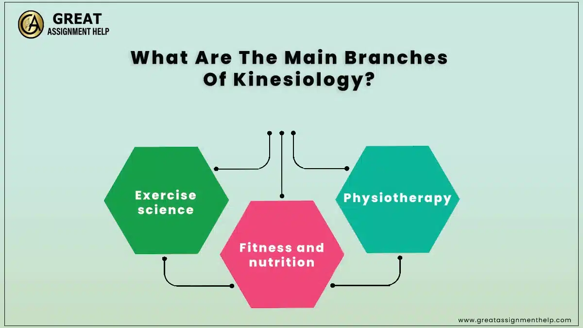 Kinesiology Research Topics