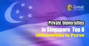 Private Universities in Singapore