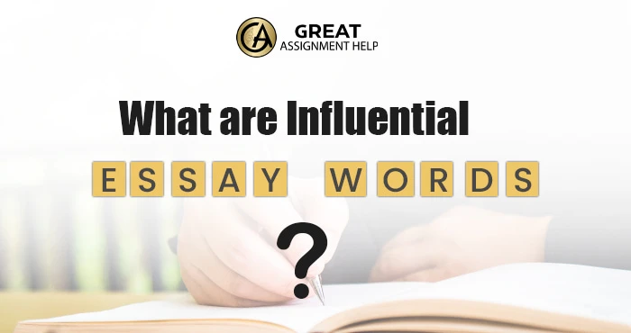 What are Influential Essay Words