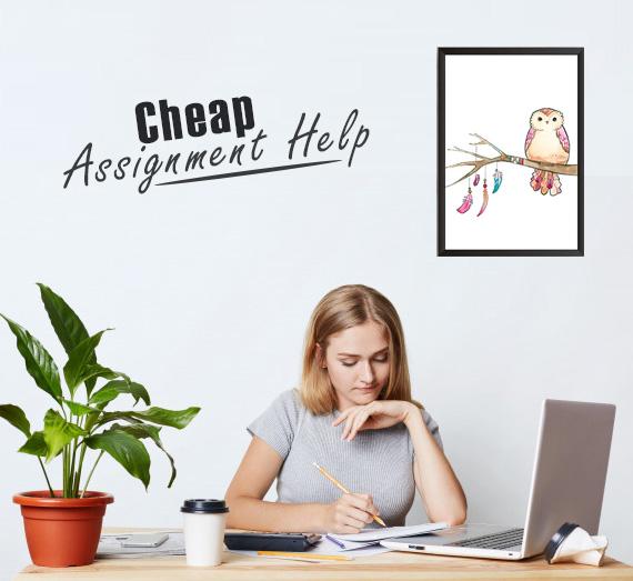 Assignment Help - Online Assignment Help Services in the UK